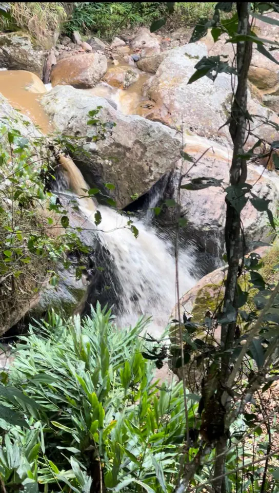 Cascada entre las rocas y la vegetación
